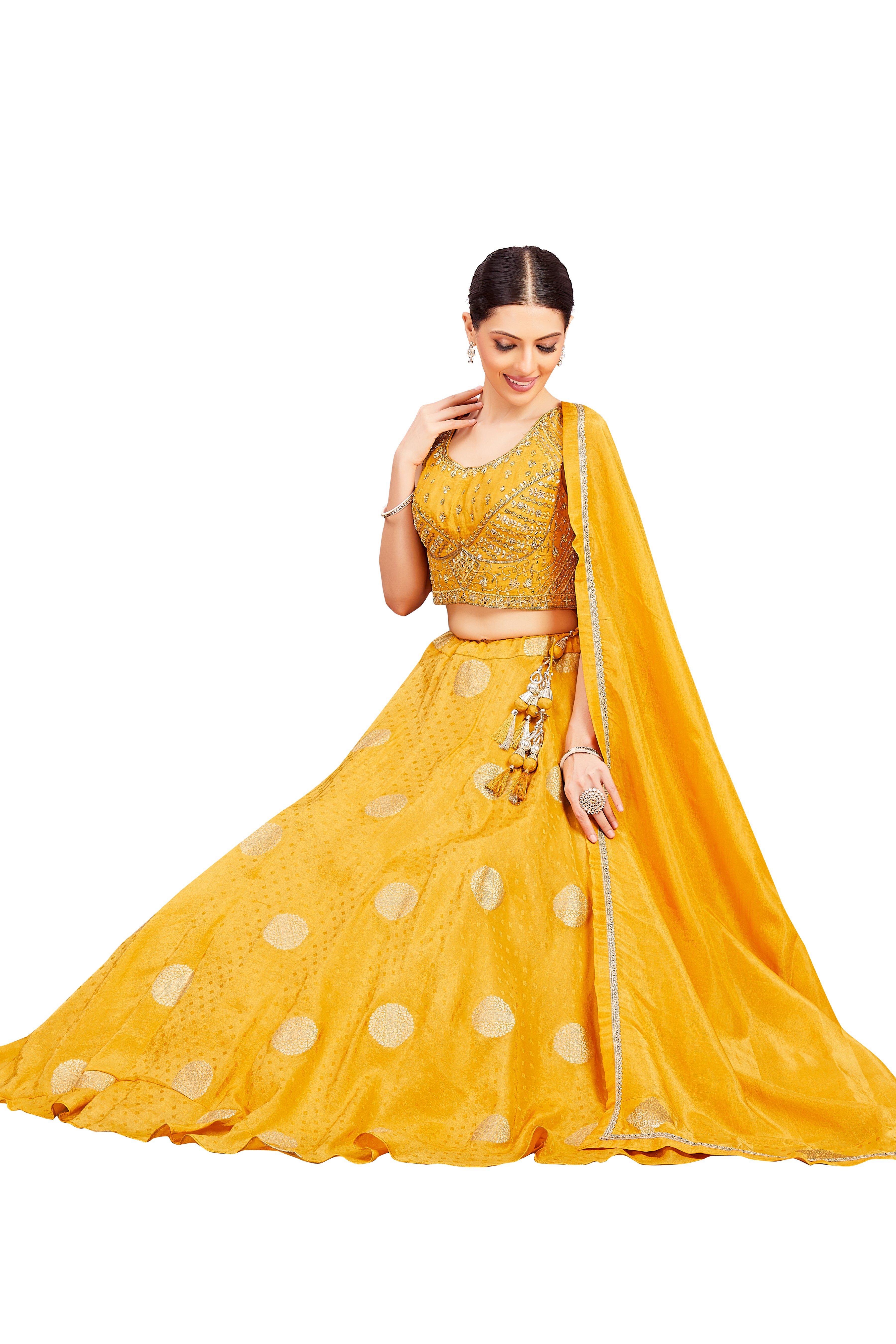 Neela Lehenga Choli