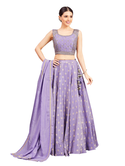 Neeta Lehenga Choli