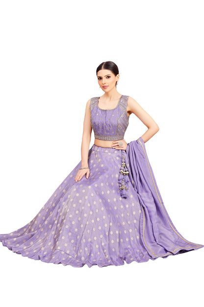 Neeta Lehenga Choli